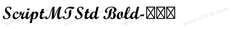 ScriptMTStd Bold字体转换